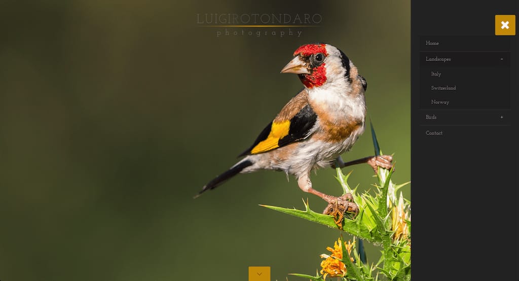Photo Gallery Website For Modern Photographers